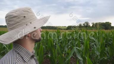 站在玉米地里，用手指着大农场的男农。 年轻的<strong>认真工</strong>作者